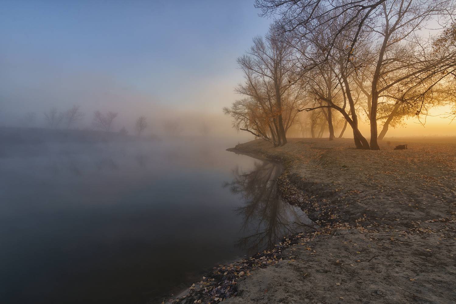 Россия,пейзаж,туман, утро, Тобол, река, осень, Лариса Дука