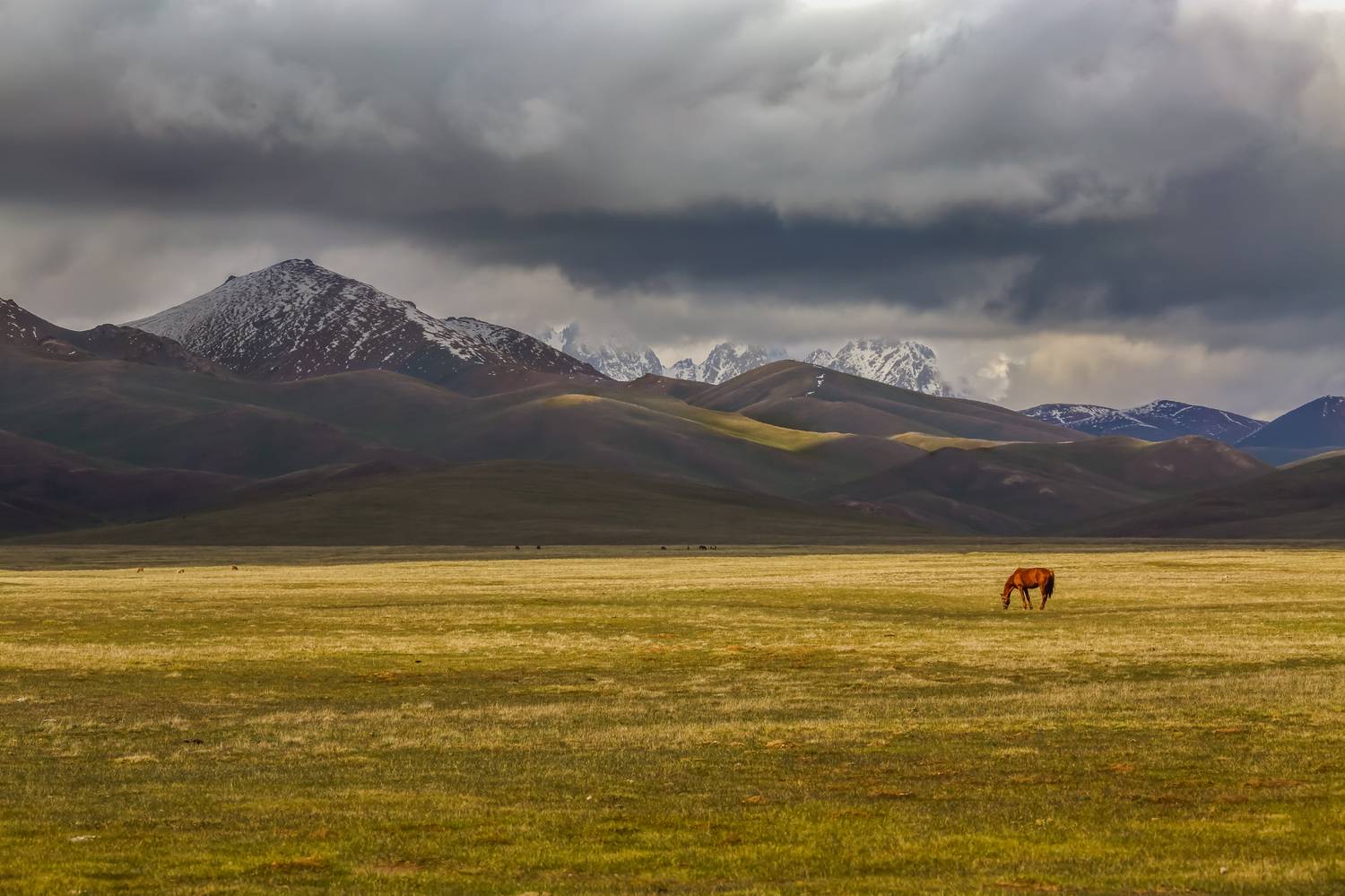 горы пейзаж лошадь, Мурзинов Виктор