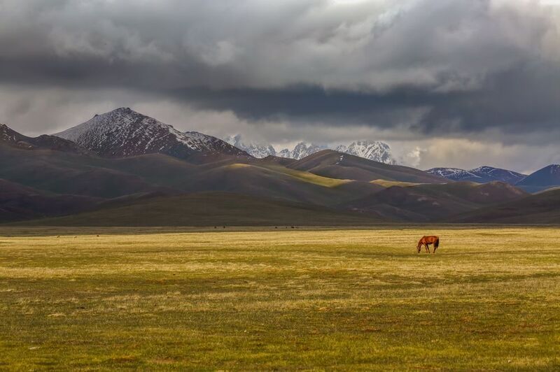 горы, пейзаж, лошадь В горах фото превью