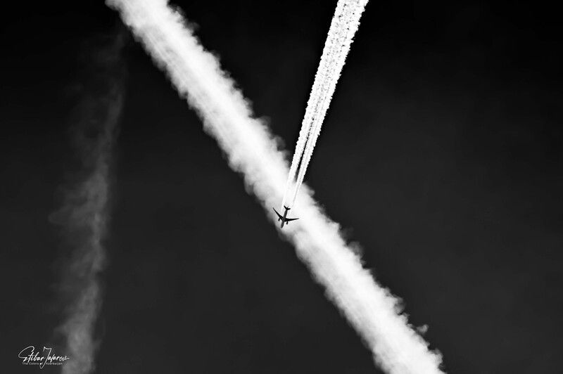 B&W фото превью