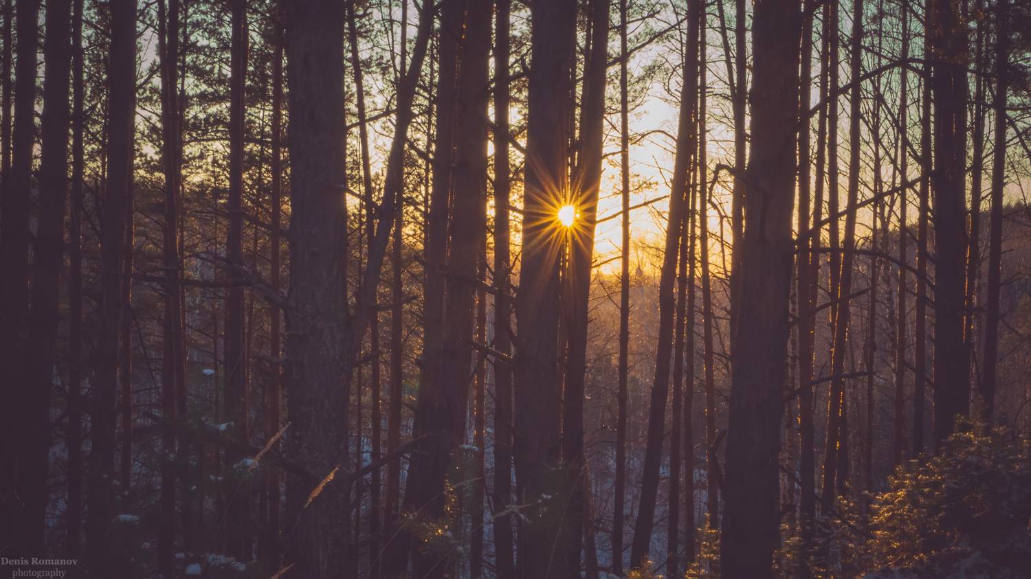 природа, пейзаж, закат, лес, весна, nature, landscape, forest, sunset, spring, Denis Romanov