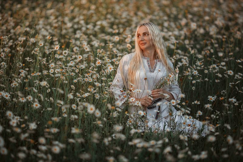 Ромашки фото превью