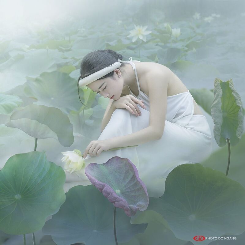 Thiếu Nữ Và Hoa Sen  фото превью