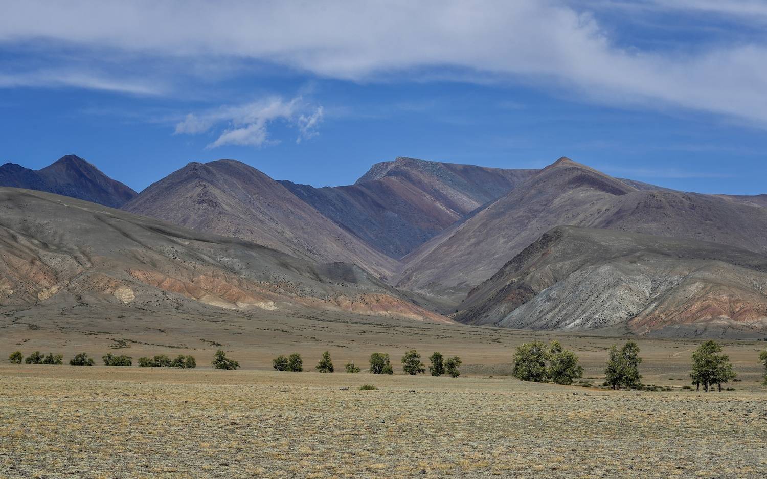 , Кузнецов Андрей