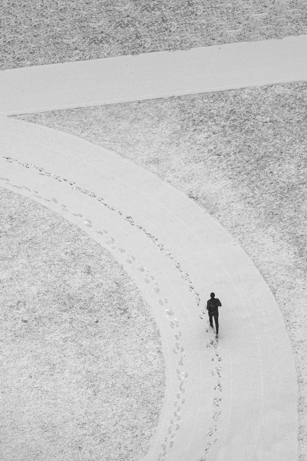 , Алексей Федотов