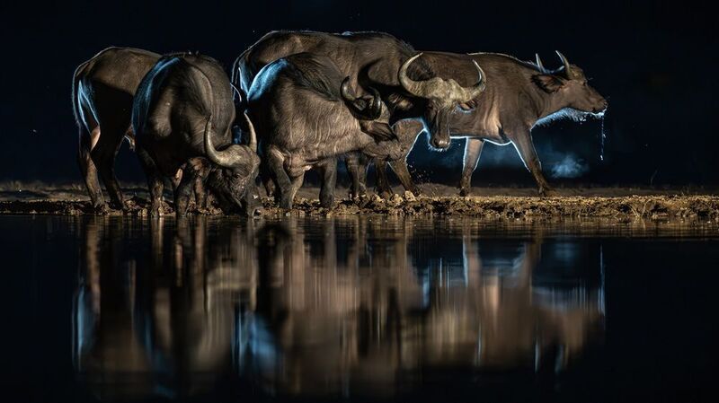 кения  фото превью