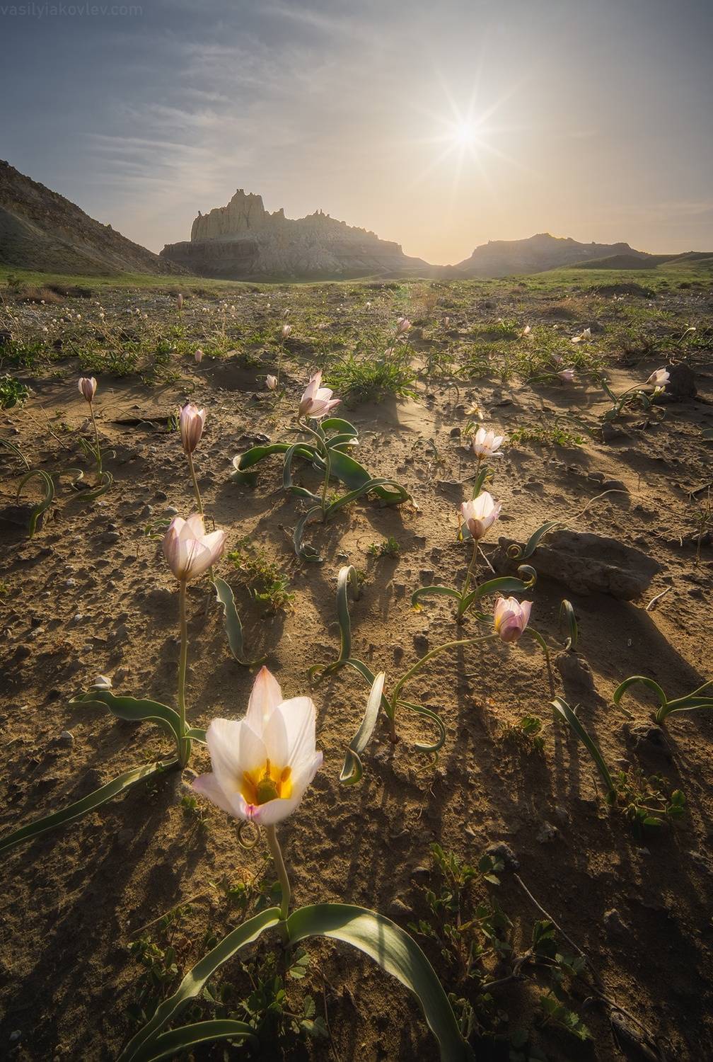 казахстан, фототур, яковлевфототур, мангистау, мангышлак, айракты, босжира, устюрт, карынжарык, тузбаир, торыш, туйесу, сенек, Василий Яковлев