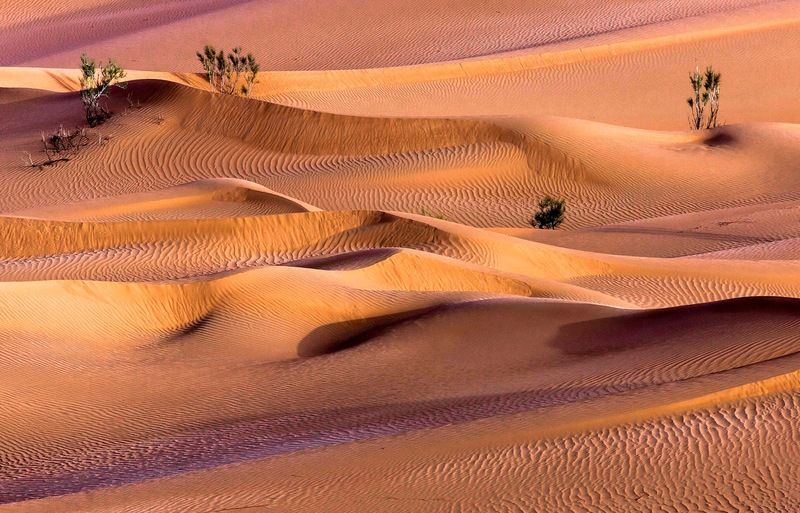 Формы и текстуры фото превью