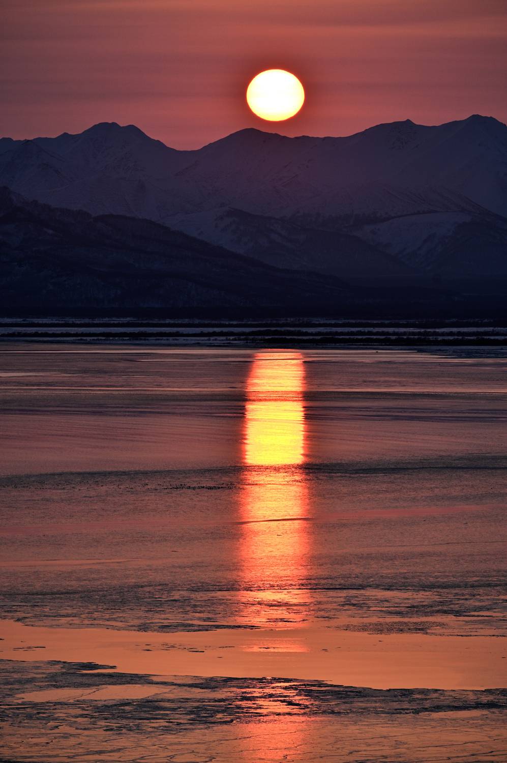 , Александр Мухин