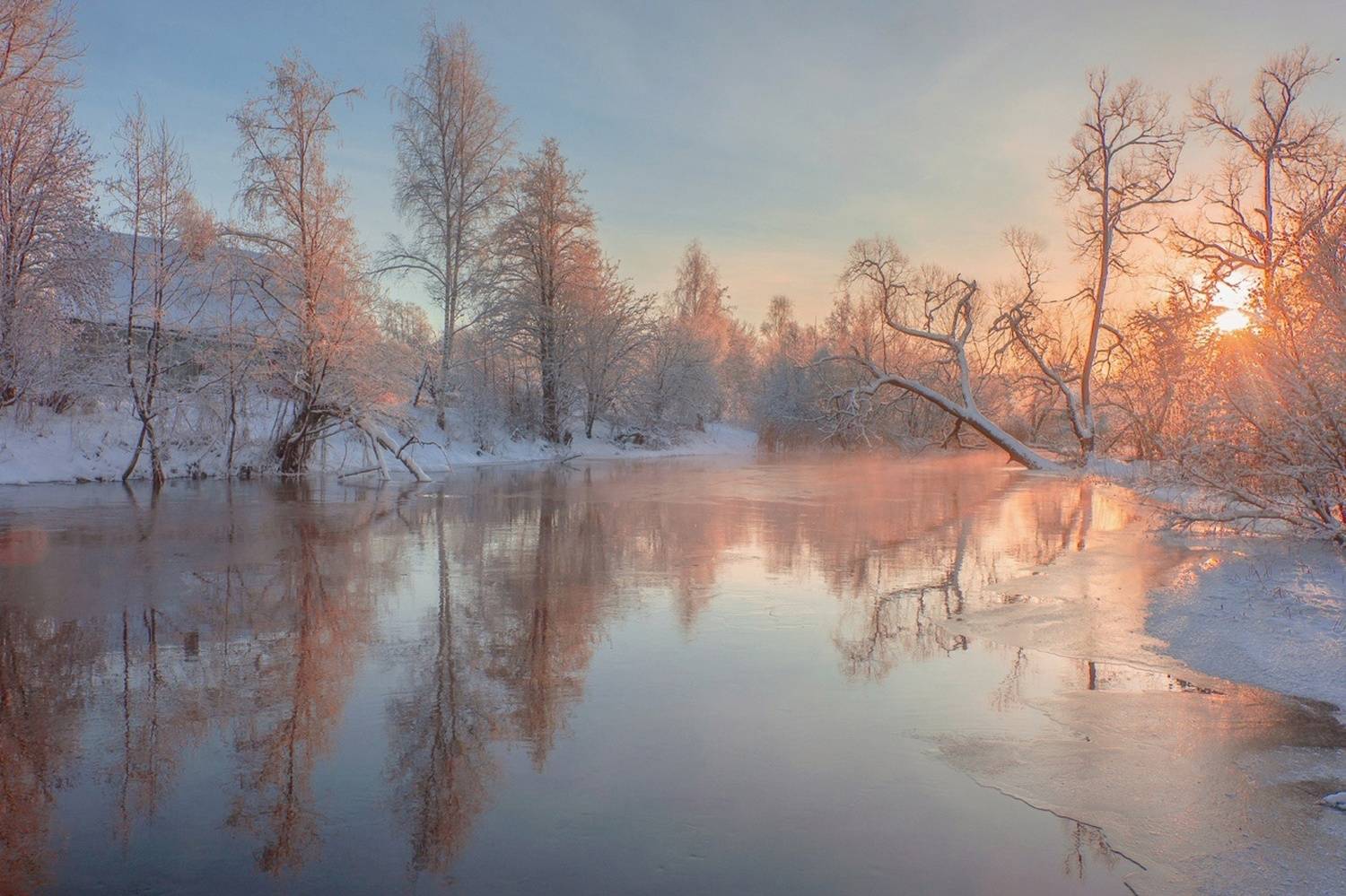 , Петр Косых