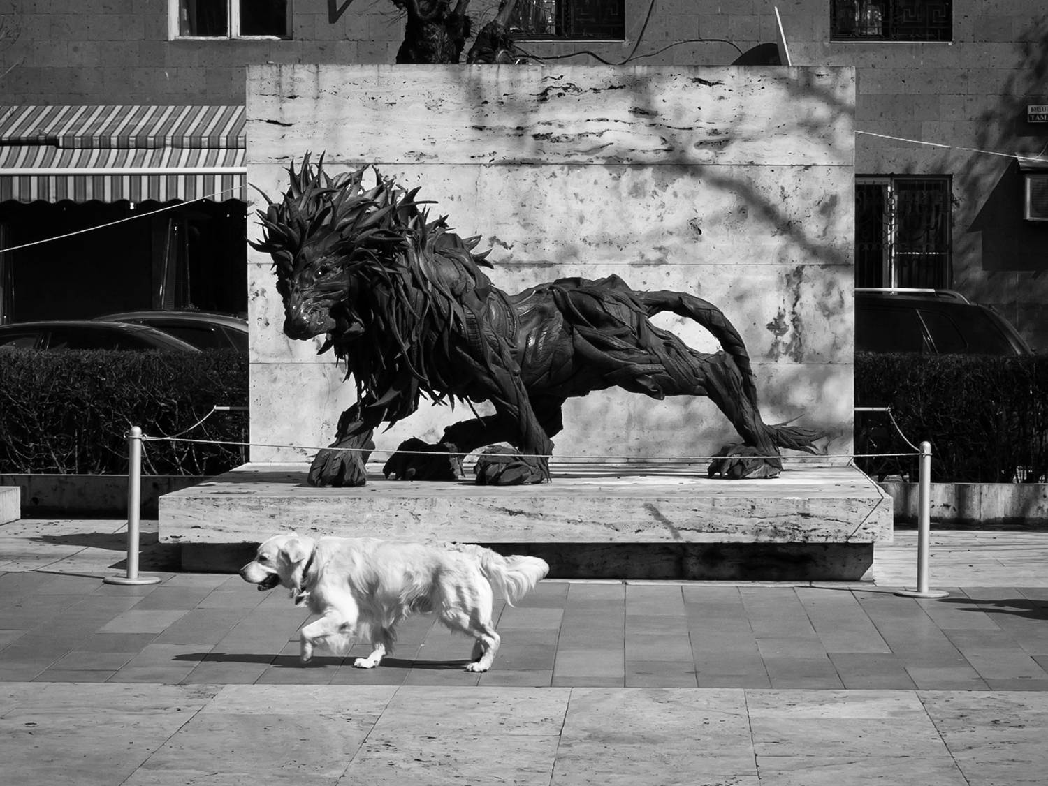 , Владислав Михайлов