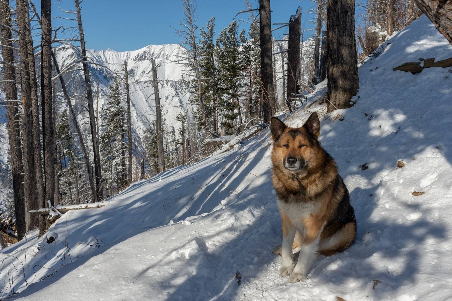 аршан, Беляев Юрий