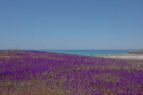 Цветной горизонт.