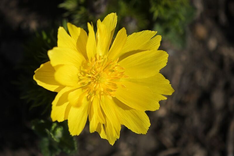 2025 фото превью