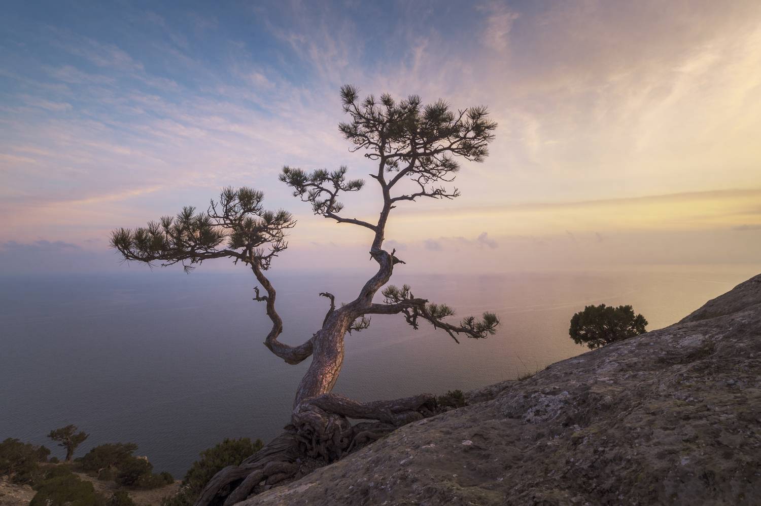 крым, Андреева Светлана