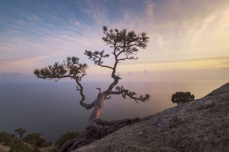 крым Весна. Крым фото превью
