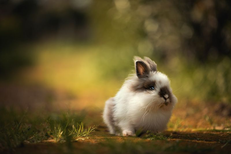 Sashka фото превью