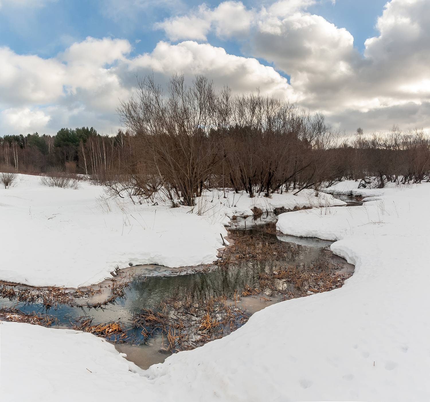 весна, снег, ручей, промоина, кустарник, русло, небо., Анкудинов Леонид