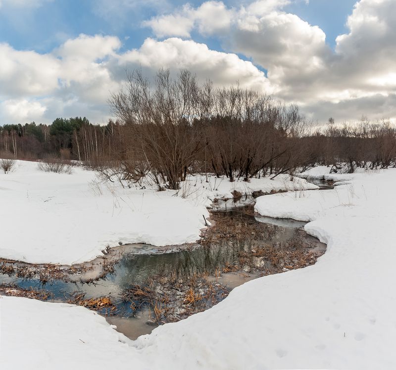 Весна на юге севера. фото превью