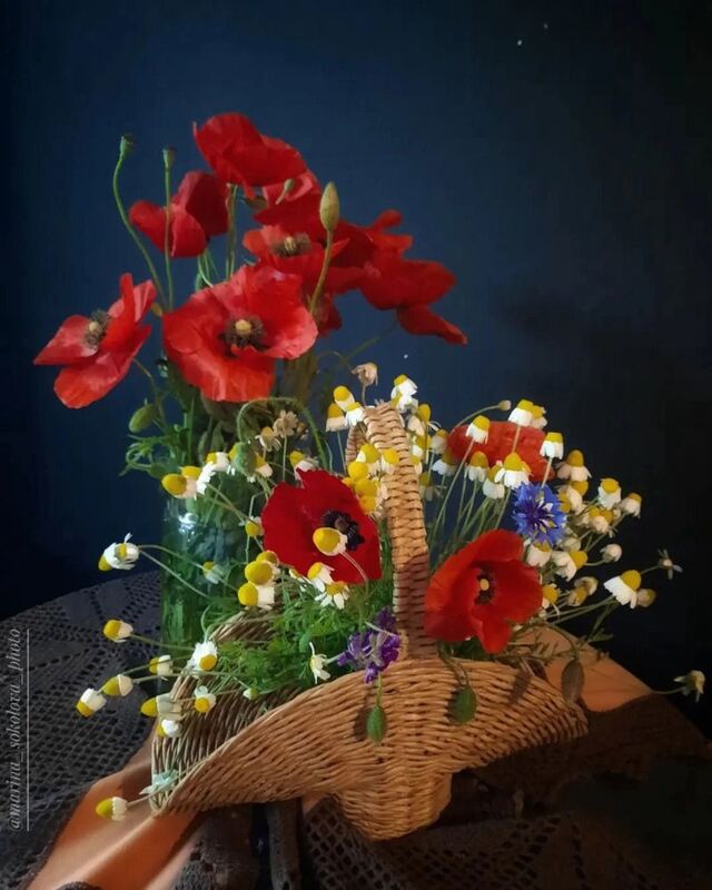 #мобильноефото #весна #маки Про маки. фото превью