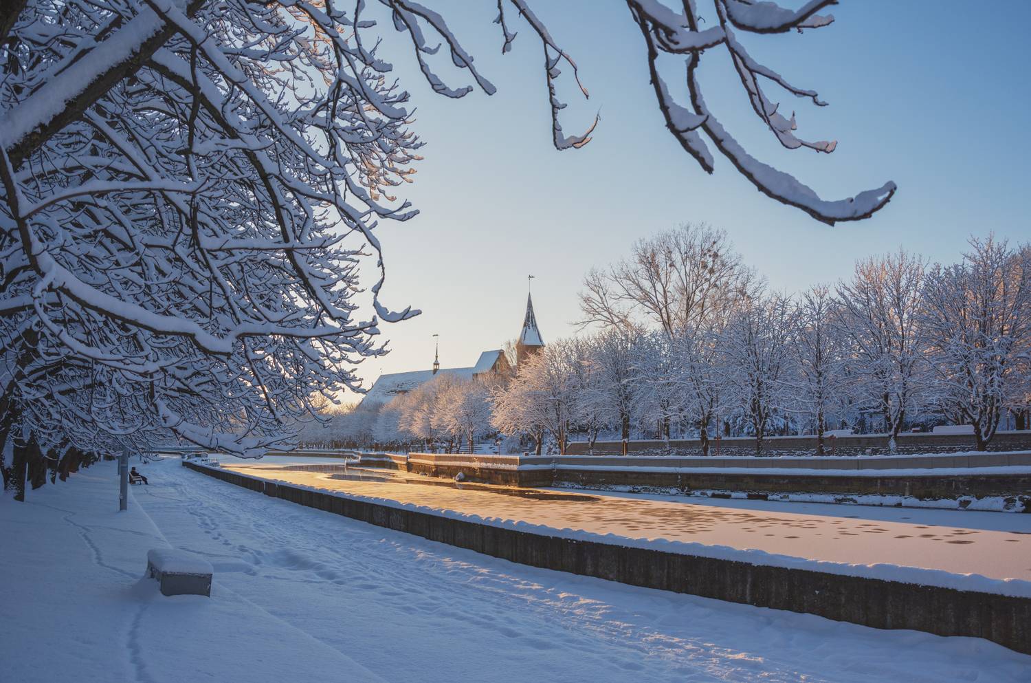 Калининград, Кафедральный, Собор, Архитектура, Зима, Утро, Рассвет, Мороз , Гладков Сергей