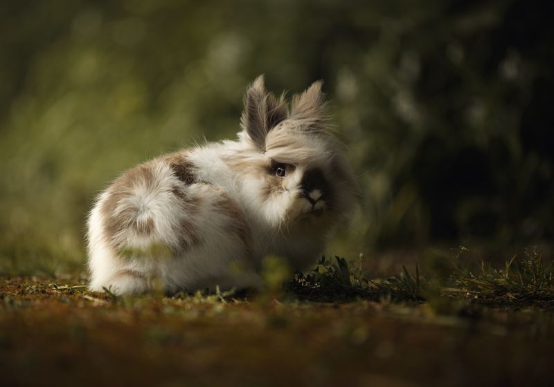 Sashka фото превью