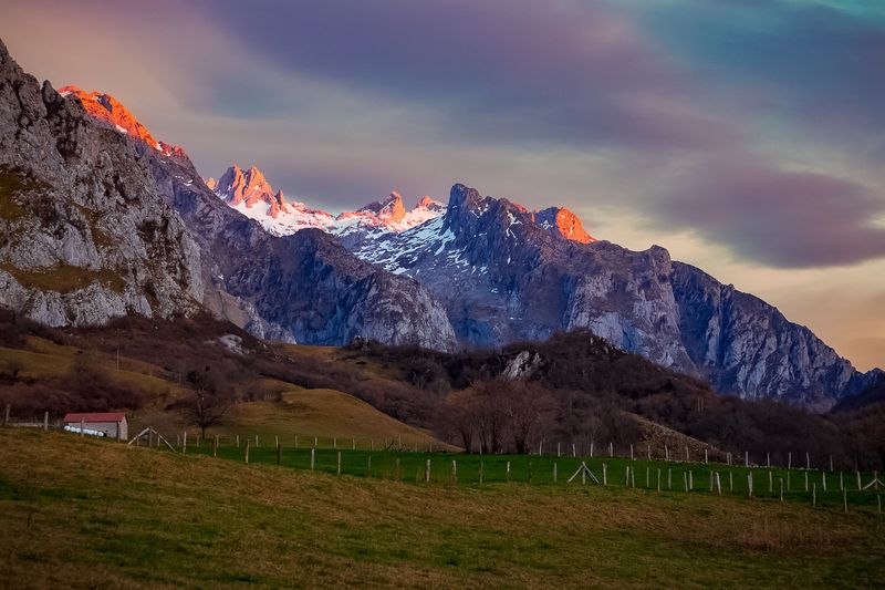 Amieva фото превью