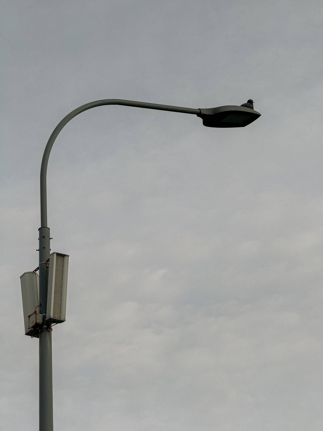 нателефон, айфон, Vladislav Zabolotnykh