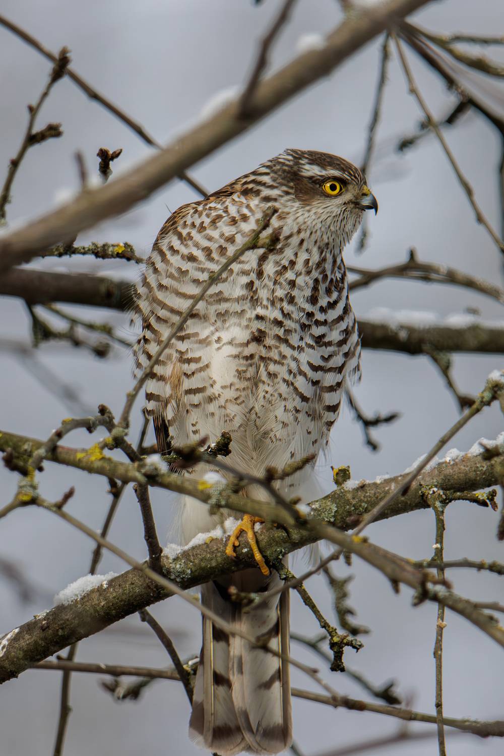 , Морозов Сергей