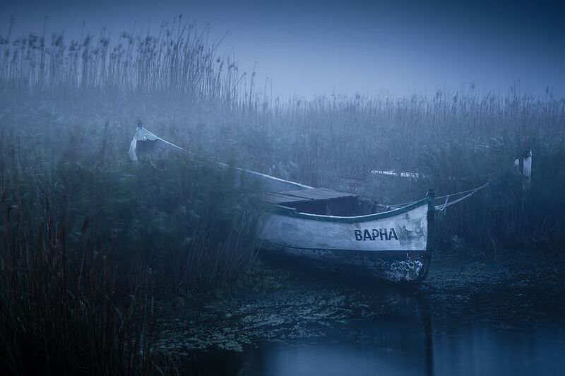 2024-05-14 фото превью