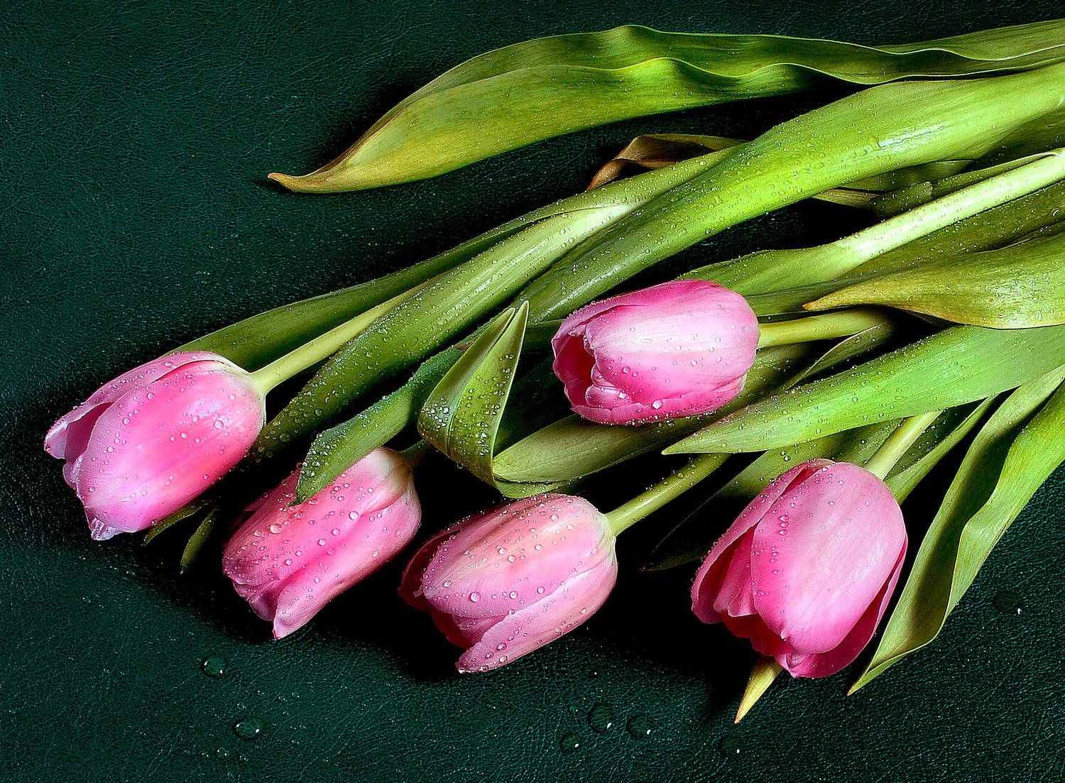 , Борис Бусыгин