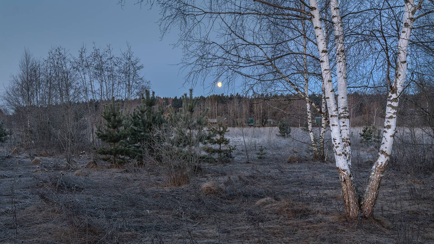 , Андреев Николай