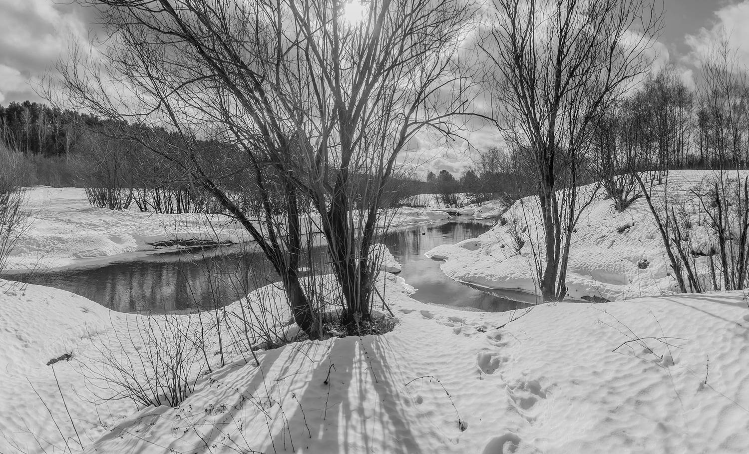 весна, снег, речка, кустарник, солнце, следы., Анкудинов Леонид