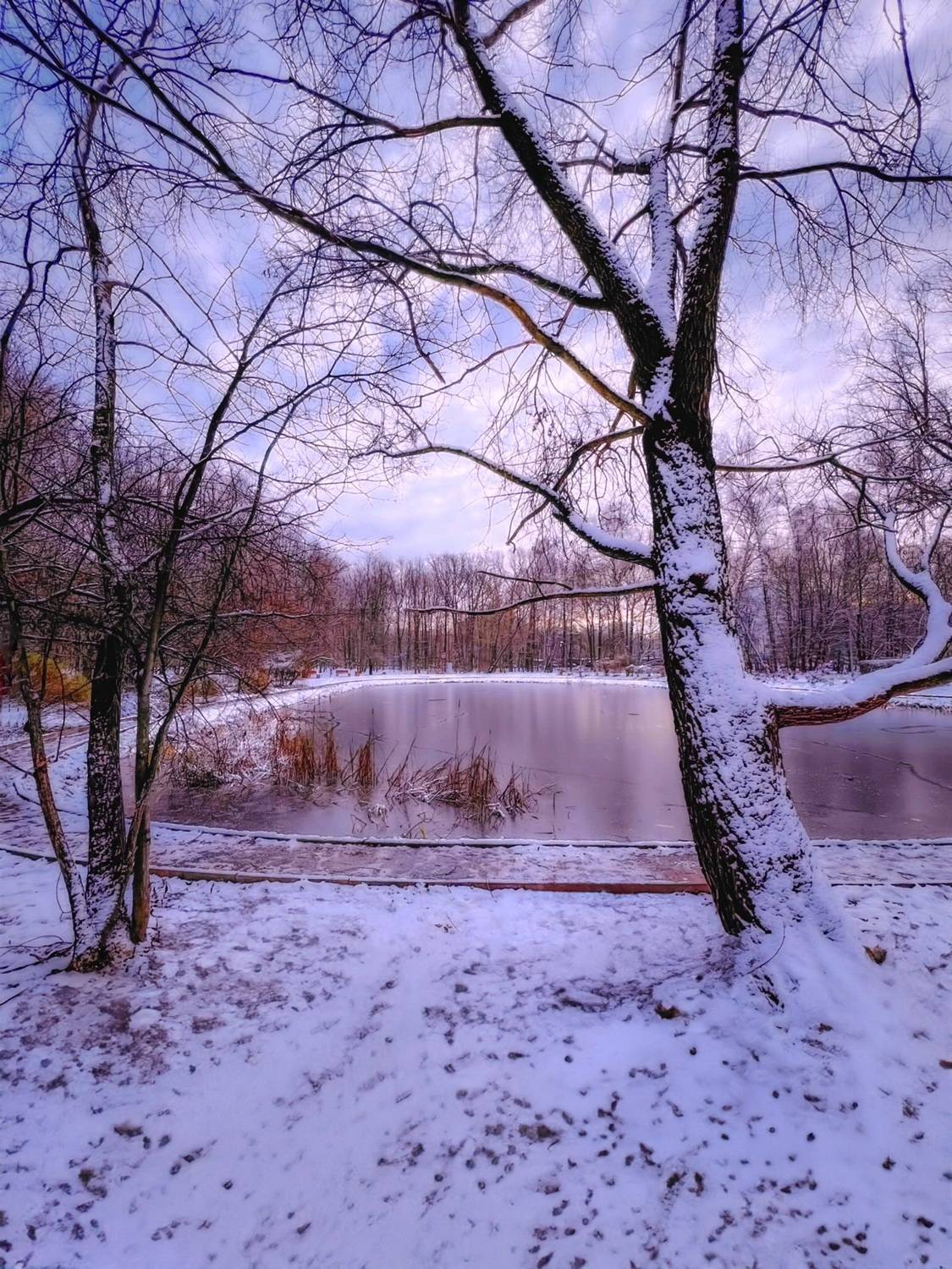 зима, winter, landscape, природа, nature, пейзаж, лес, forest, закат, sunset, Julia Kaissa