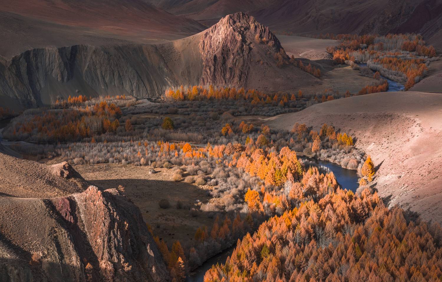 россия, горный алтай,осень, утро, Поляков Андрей