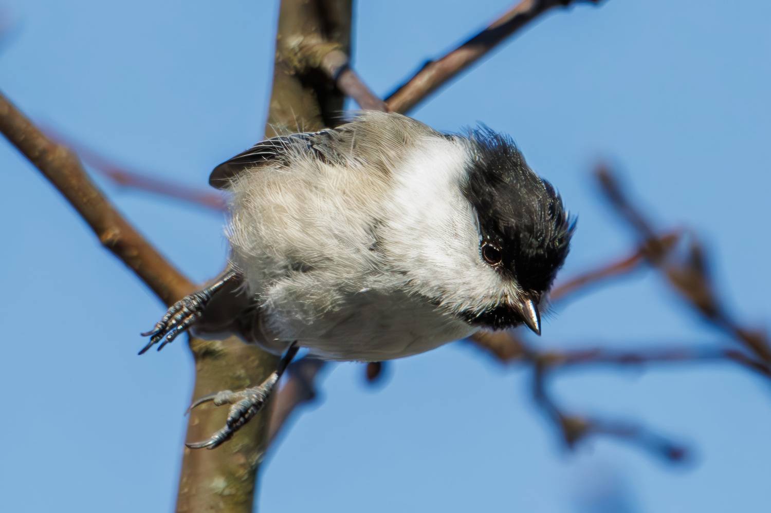 , Морозов Сергей