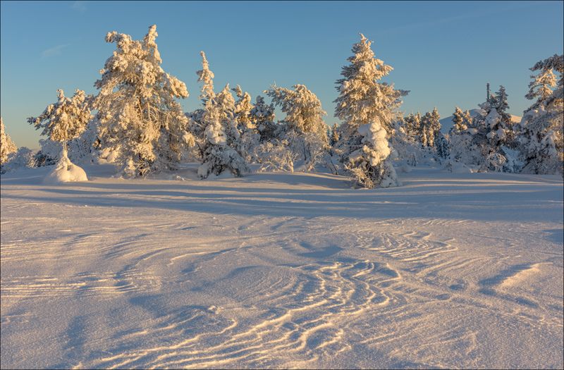 Заполярье в феврале (окончание) фото превью
