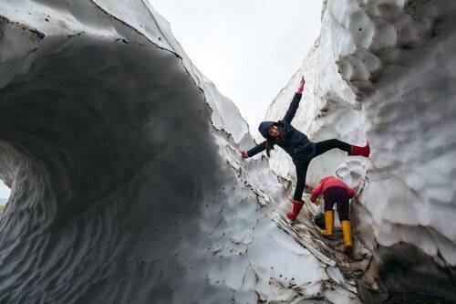 Лето на Командорах