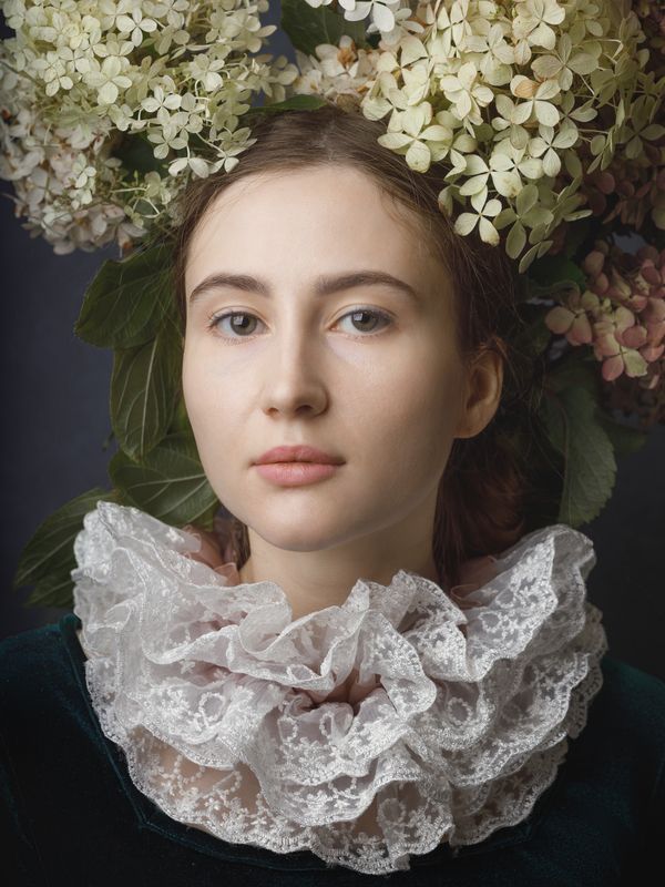 Гортензия фото превью