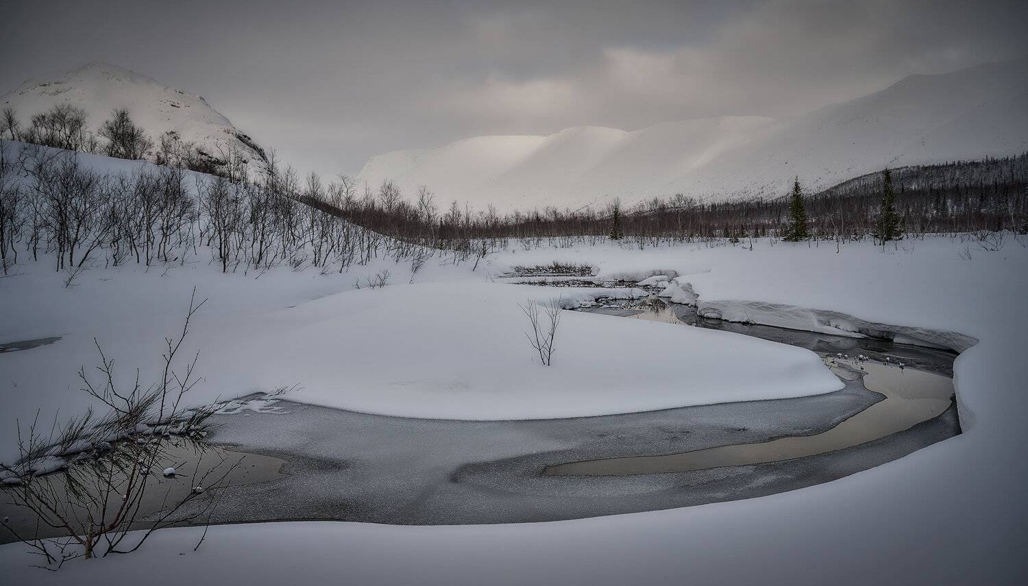 , Борис Дацковский