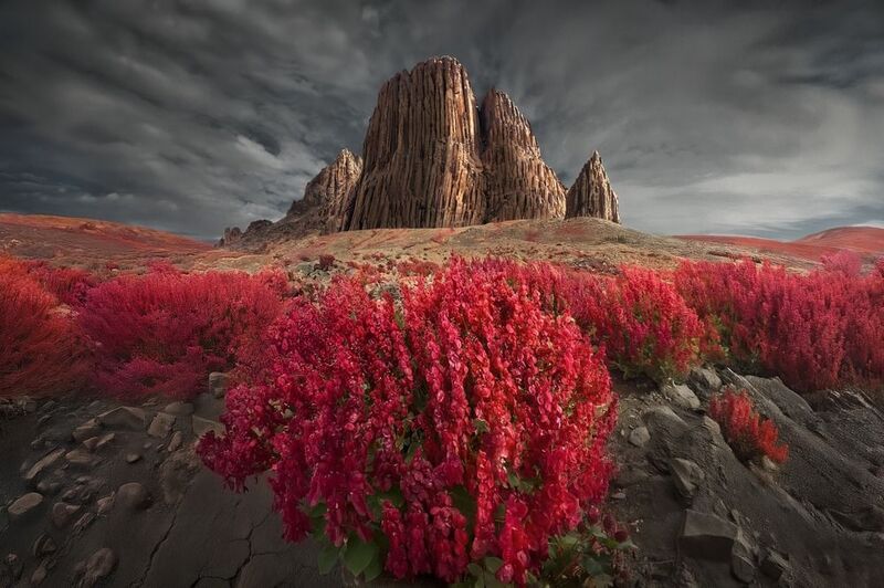 Hoggar фото превью