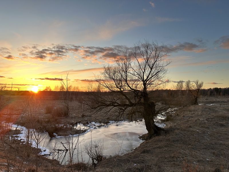 фото превью