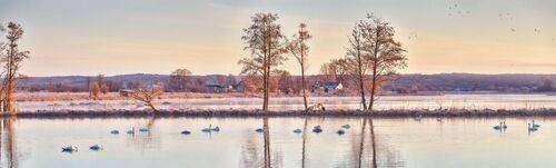 Март. Утро на \