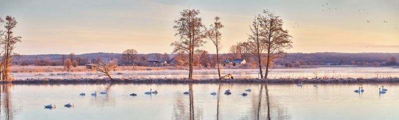 беларусь, весна, вода, западная березина, март, озеро, панорама, рассвет, река, туман, утро Март. Утро на \\\