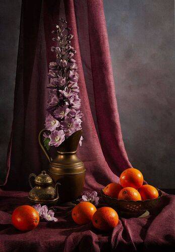 Дельфиниум