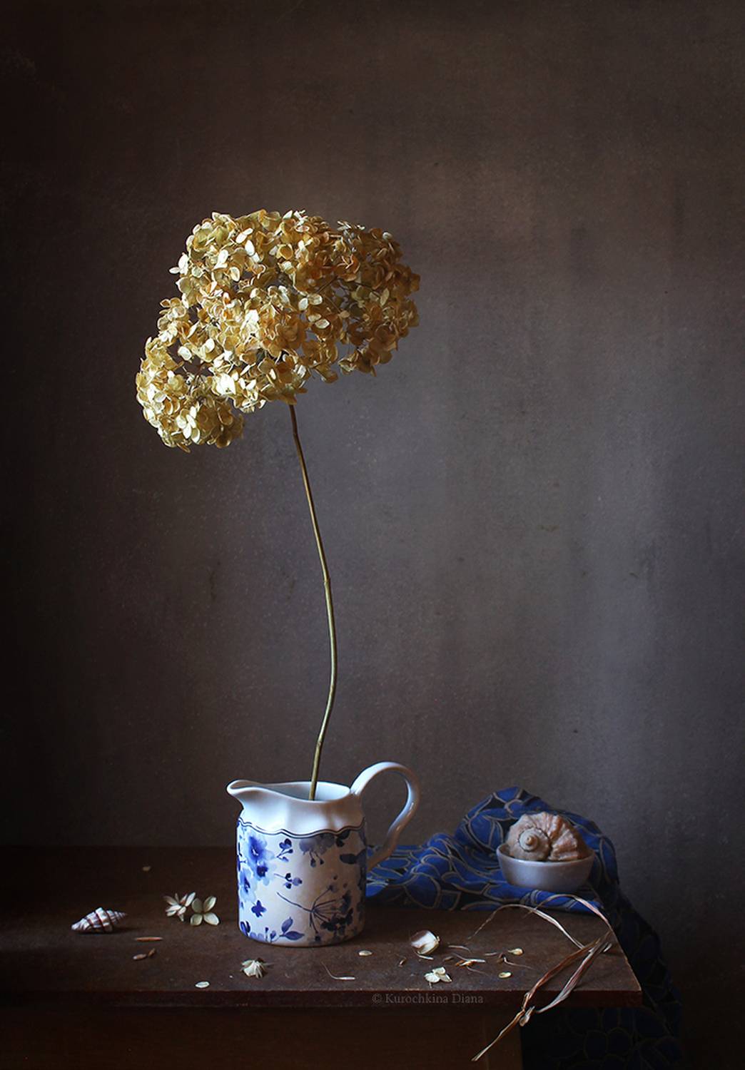натюрморт, гортензия, сухой цветок, Курочкина Диана