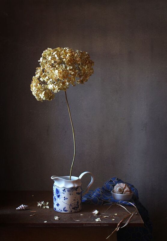 натюрморт, гортензия, сухой цветок на исходе зимы фото превью