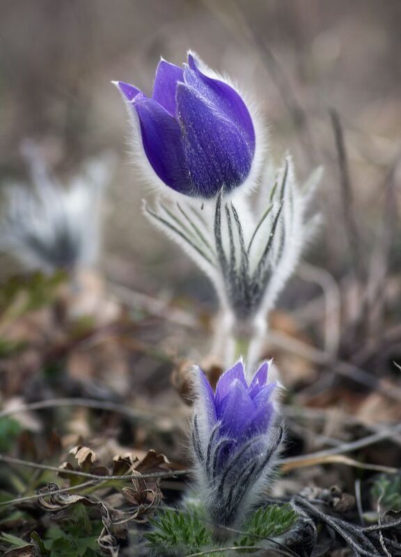 Я и мама фото превью