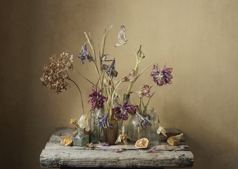 фото превью