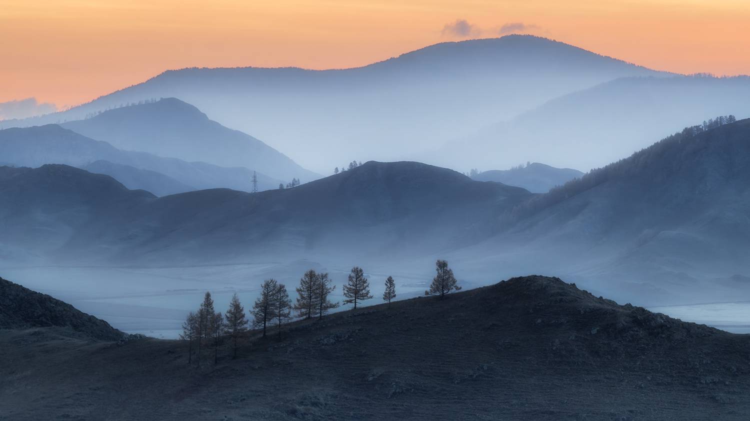 , Медянцев Дмитрий